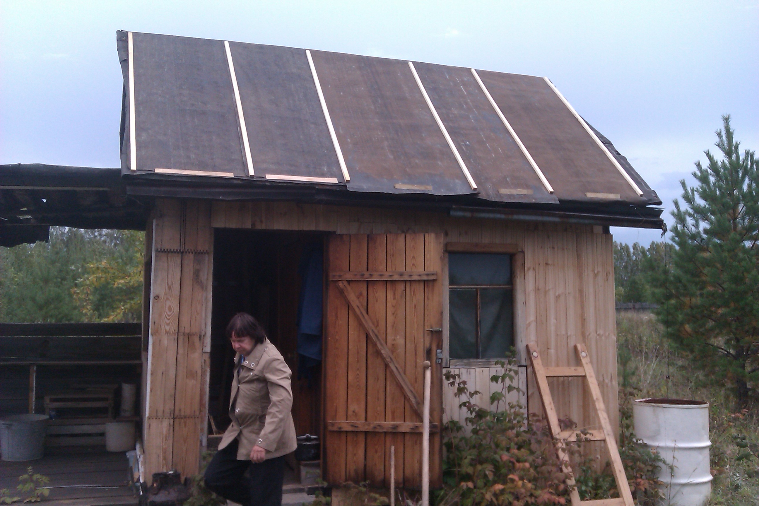 House from the container in the garden