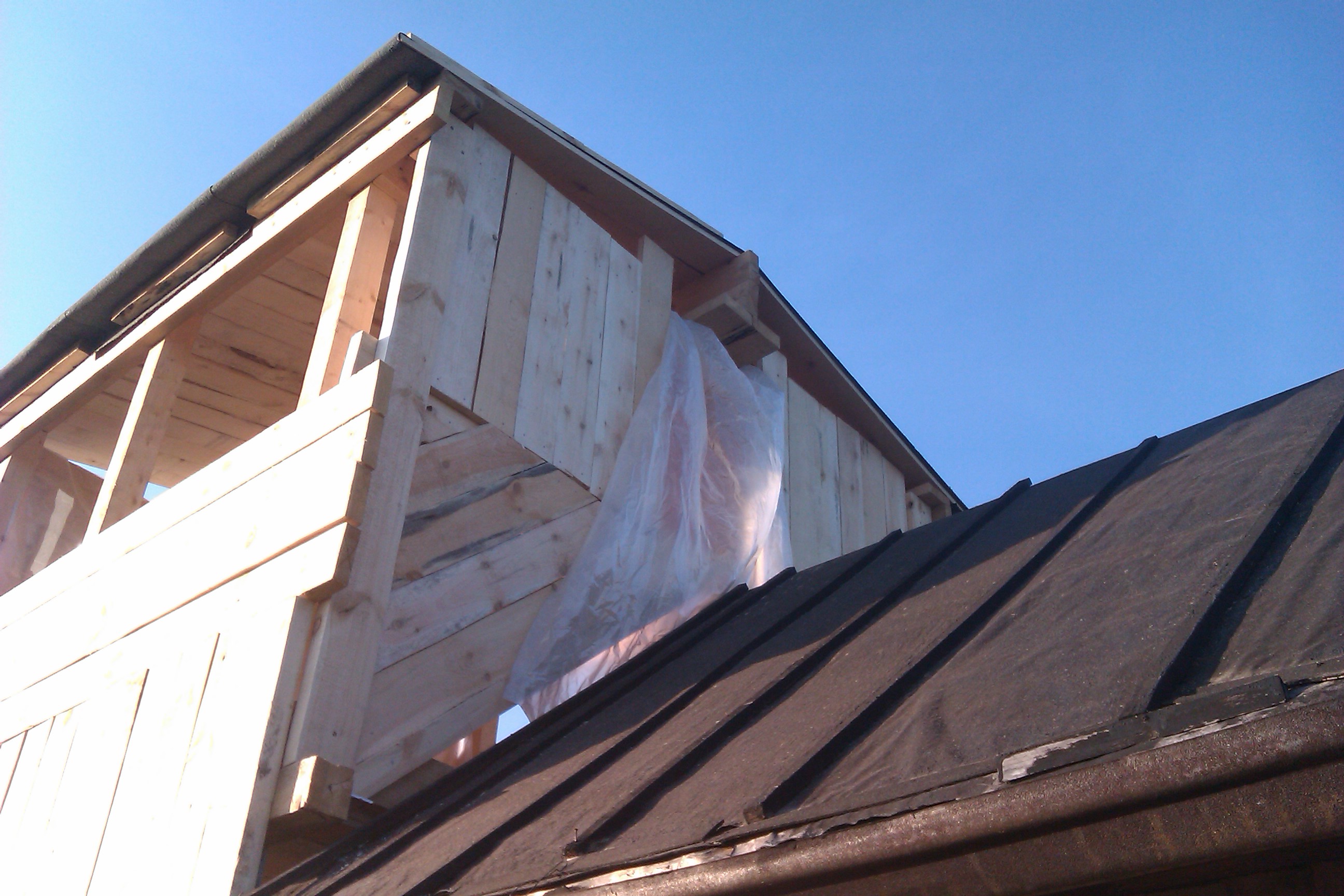 House from the container in the garden