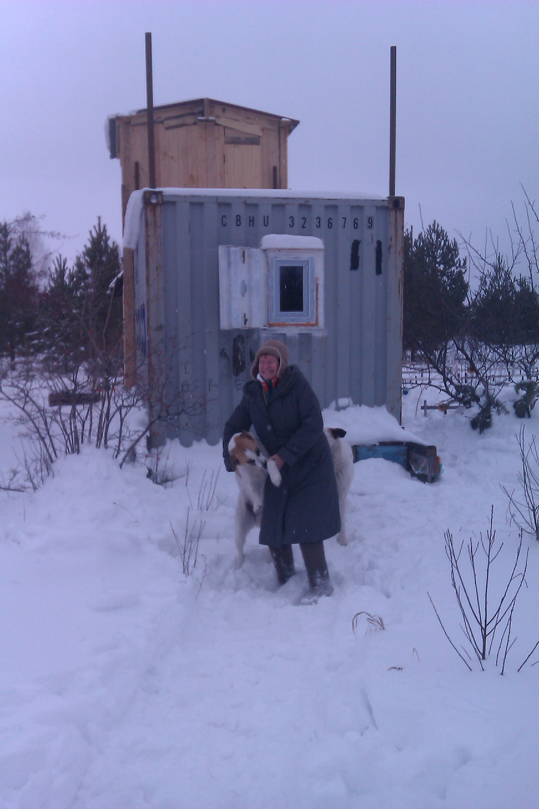 House from the container in the garden