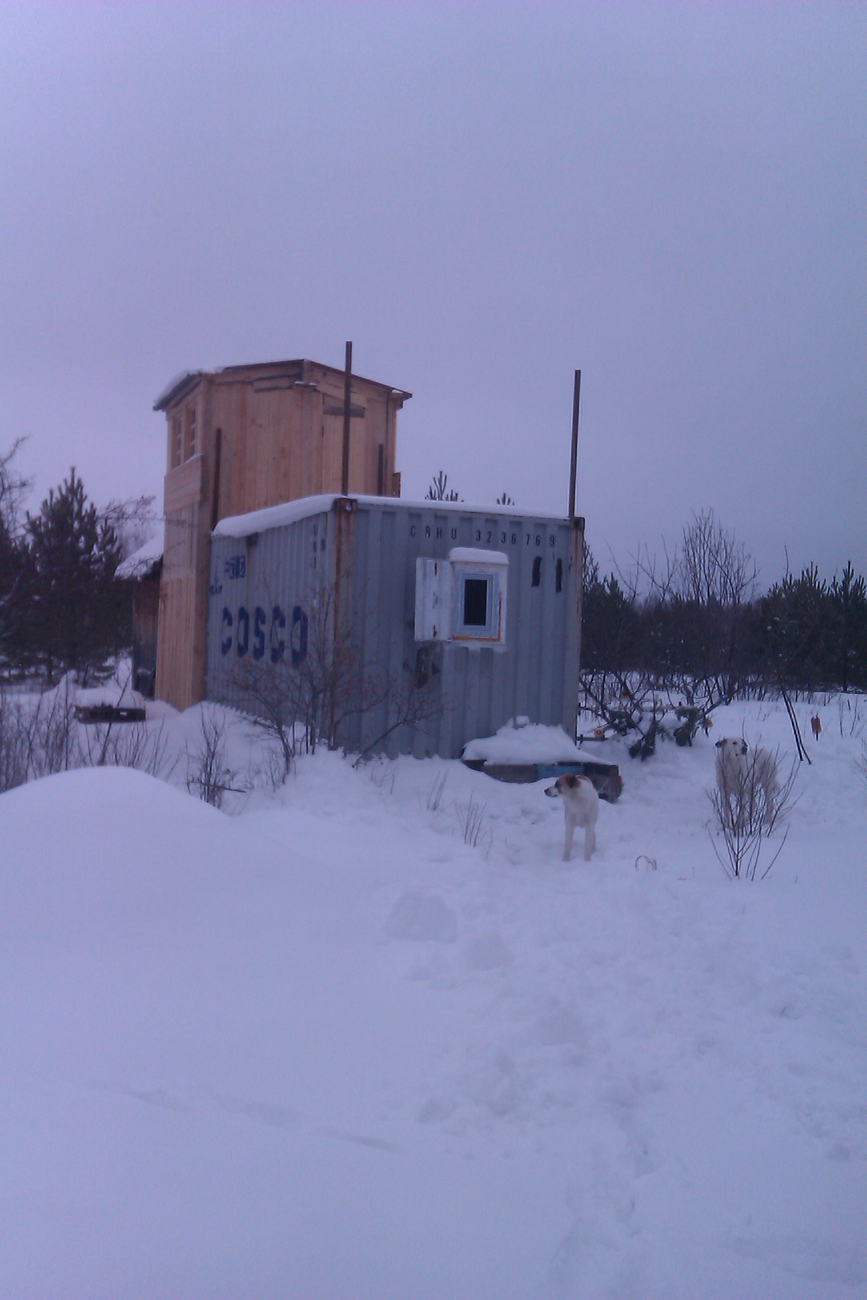 House from the container in the garden