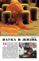 Наука и жизнь 2005 год, № 11