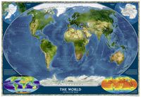 World Map - Satellite (2001)