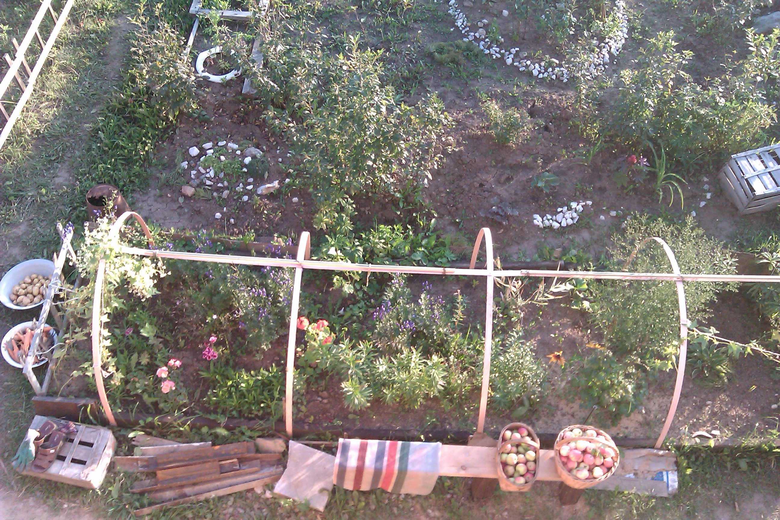 House from the container in the garden