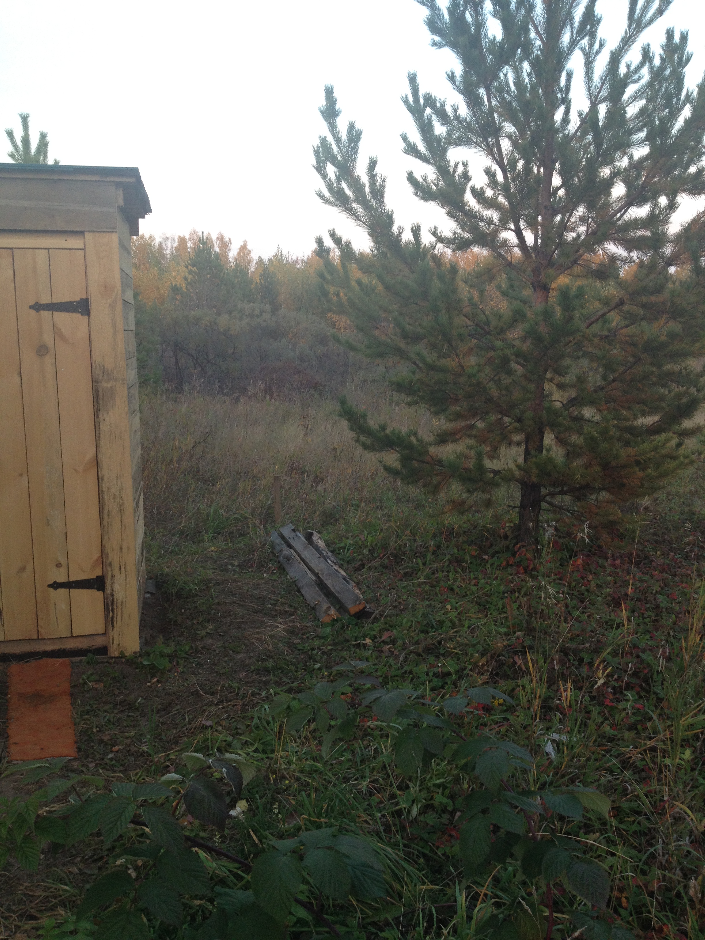 House from the container in the garden