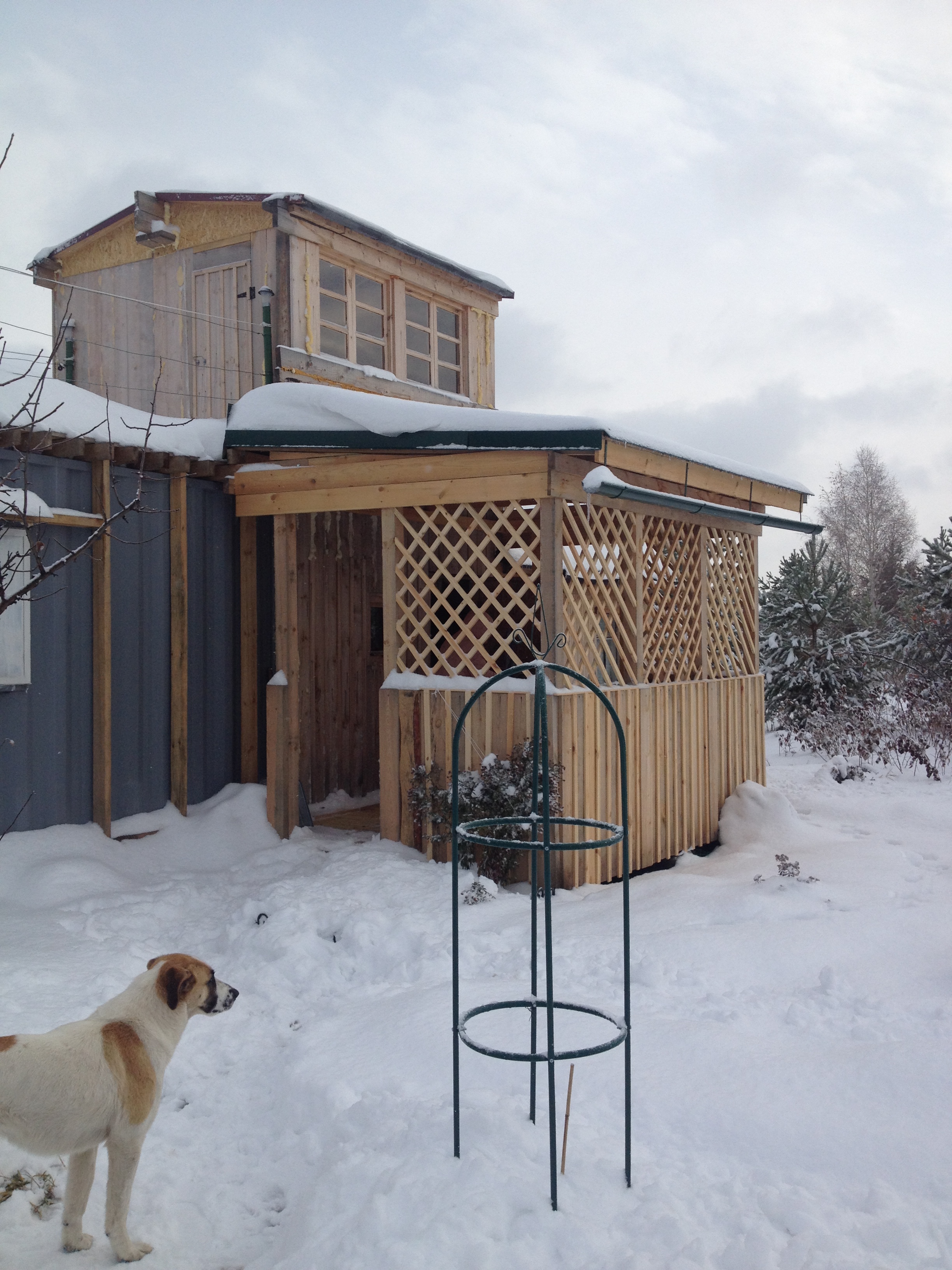 House from the container in the garden