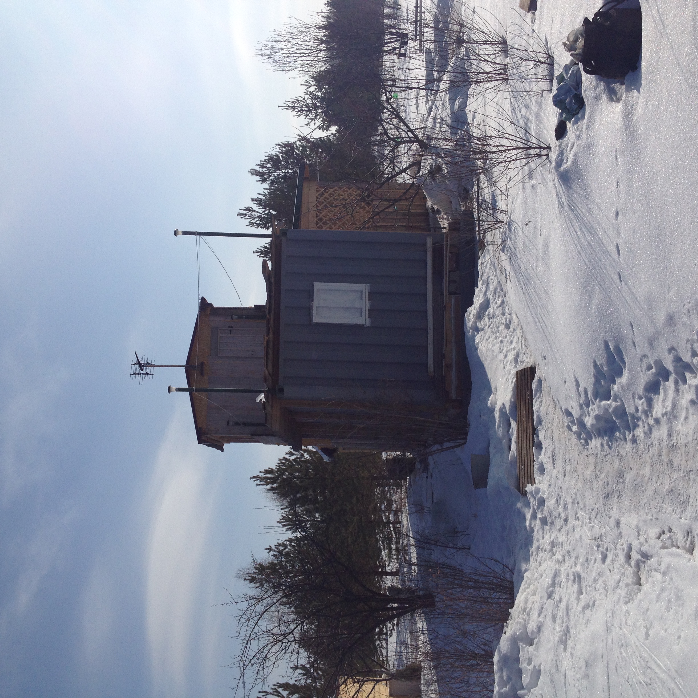 House from the container in the garden