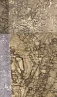 Топографическая карта Беларусии (карты Шуберта). Квадрат 54 40x2 20