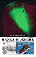 Наука и жизнь 2006 год, № 05