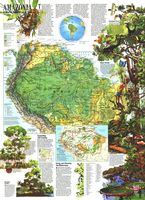 Amazonia - A World Resource at Risk (1992)