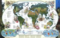 World Map - Diversity of Life (1999)